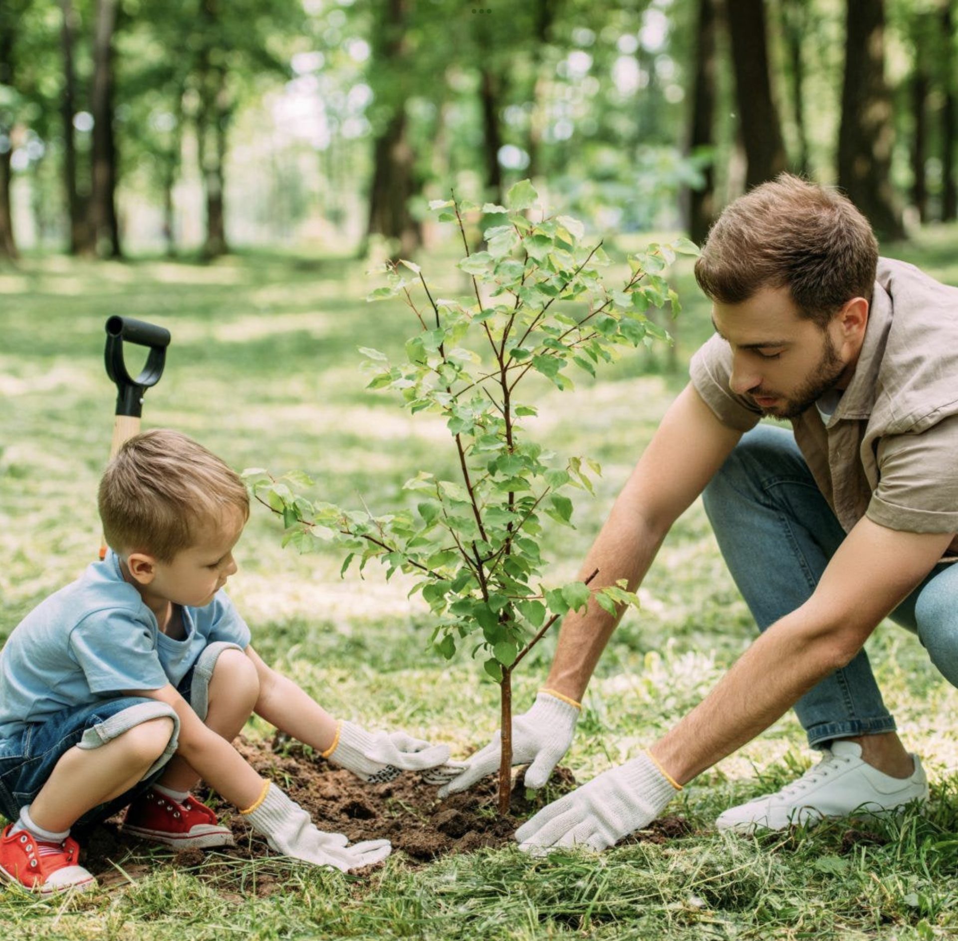 Sustainability… not merely important but fundamental